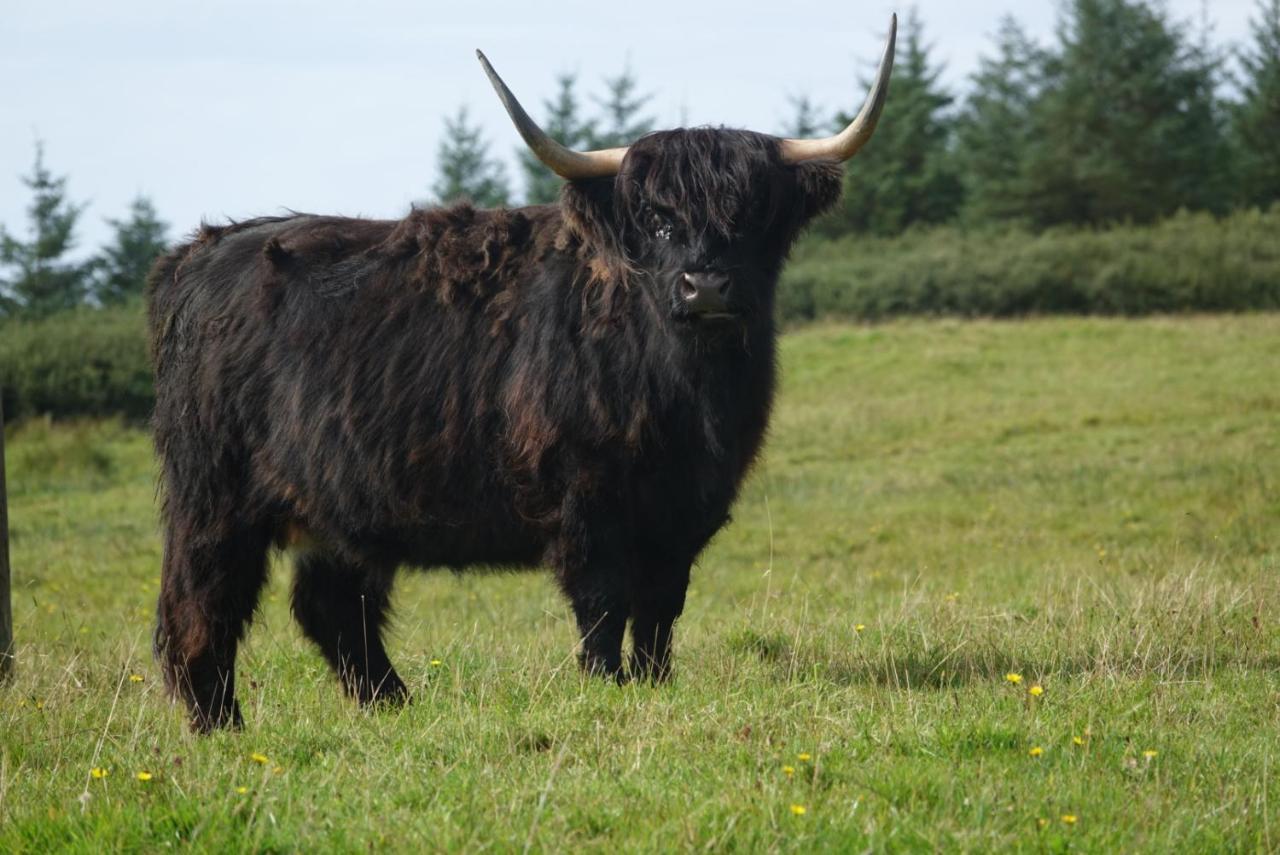 Bed and Breakfast Loch Gorm House Bruichladdich Екстер'єр фото